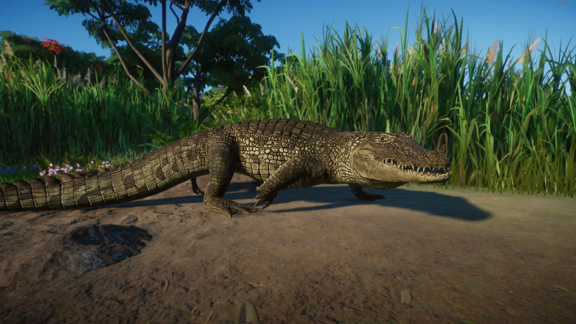 Nile Crocodile - New Species (1.14) at Planet Zoo Nexus - Mods and ...