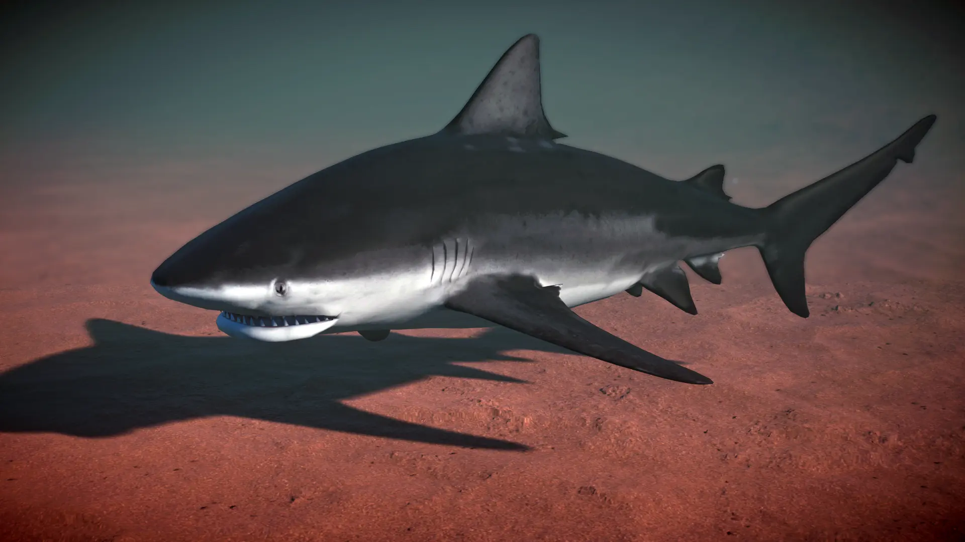 Bull Shark - New Species (1.14) at Planet Zoo Nexus - Mods and community