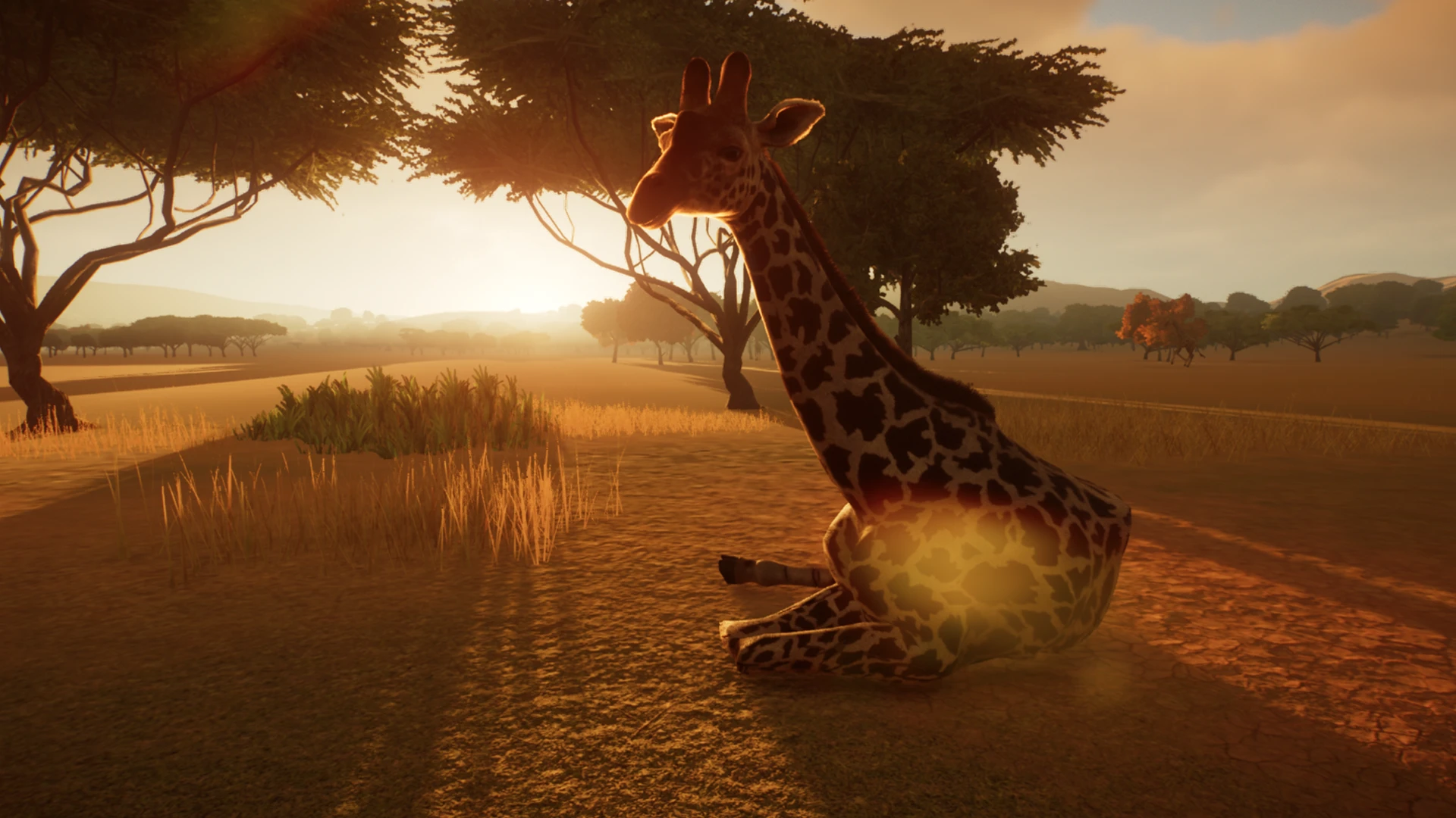 Masai Giraffe (Updated for 1.4) at Planet Zoo Nexus - Mods and community