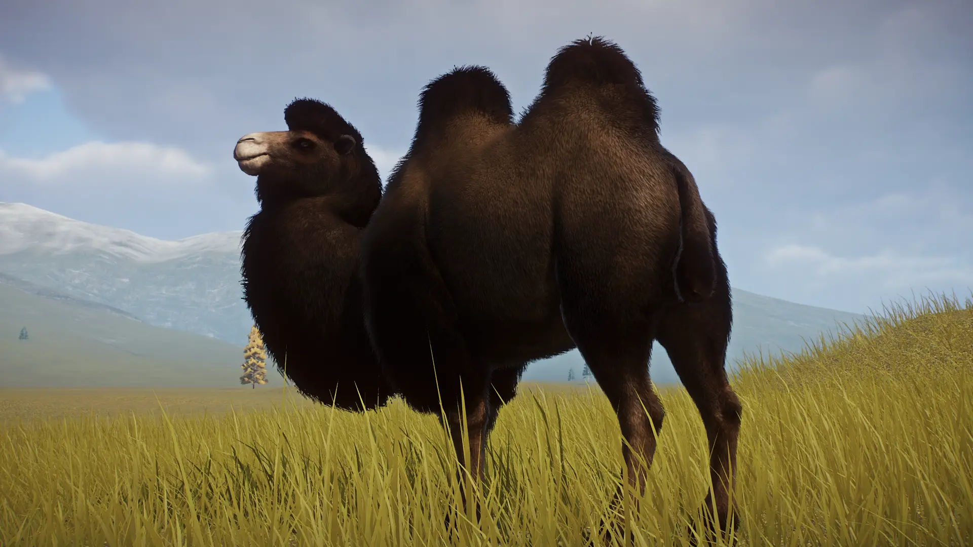 Bactrian Camel Remaster and New Variants (1.15) at Planet Zoo Nexus ...