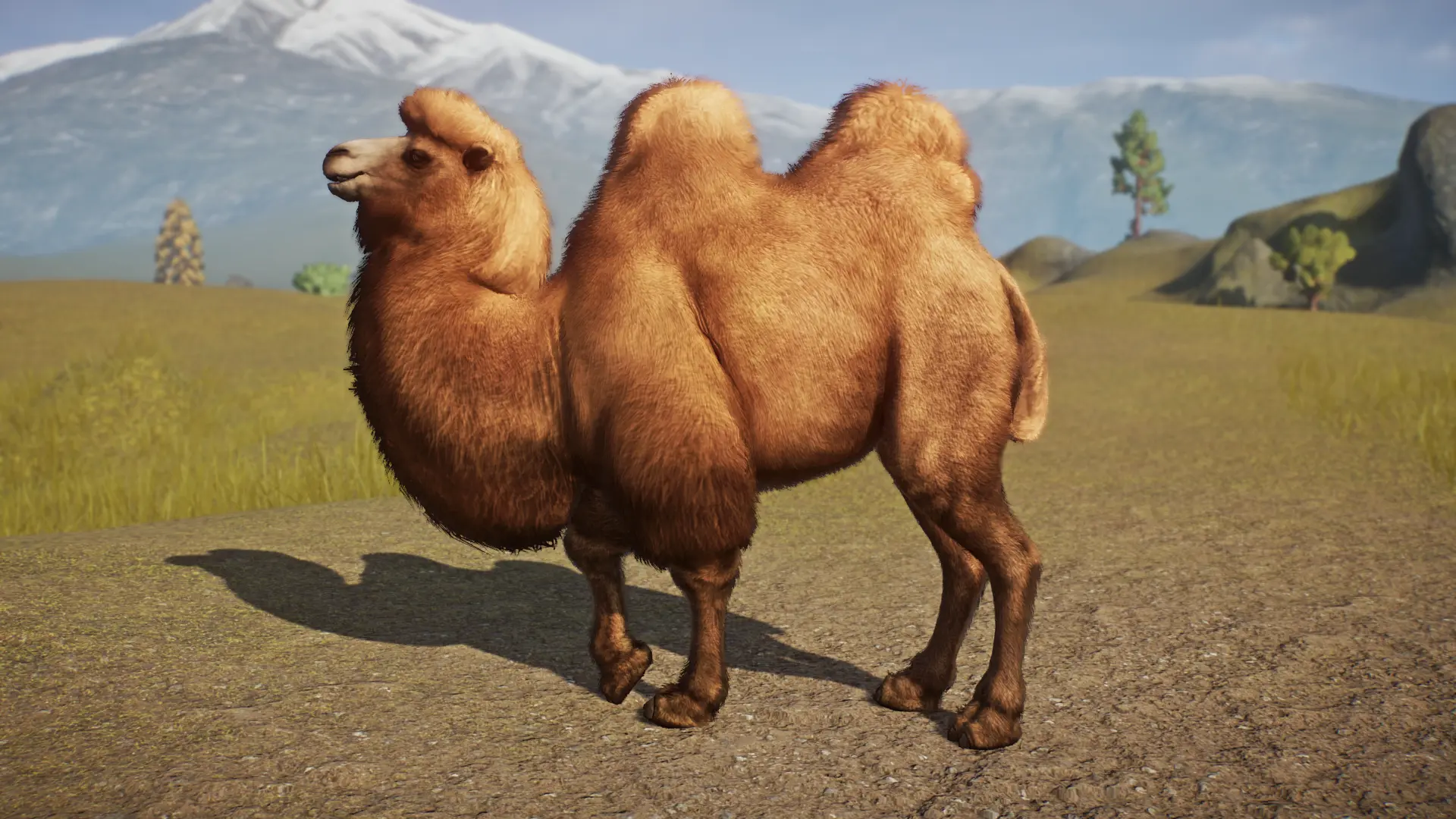 Bactrian Camel Remaster and New Variants (1.15) at Planet Zoo Nexus ...