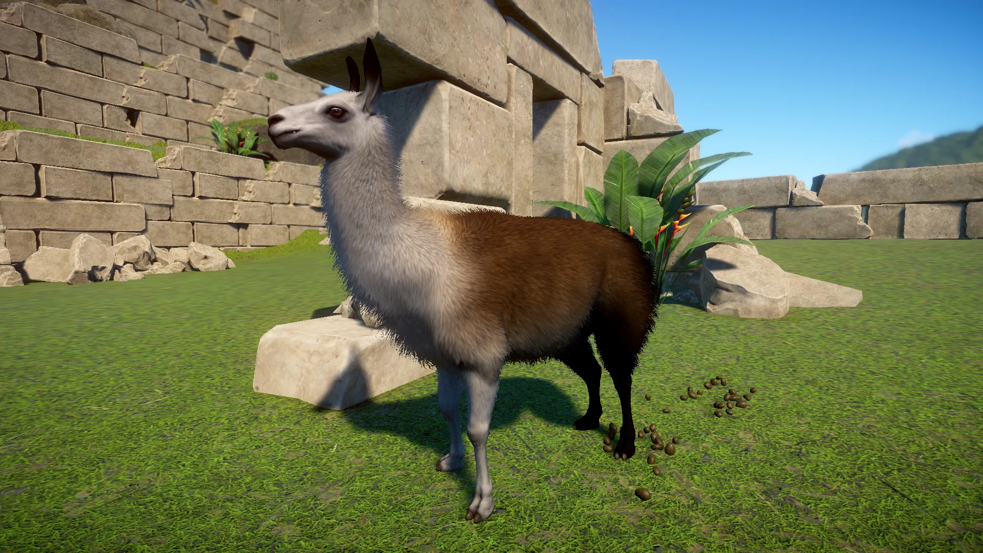 Llama Variants at Planet Zoo Nexus - Mods and community