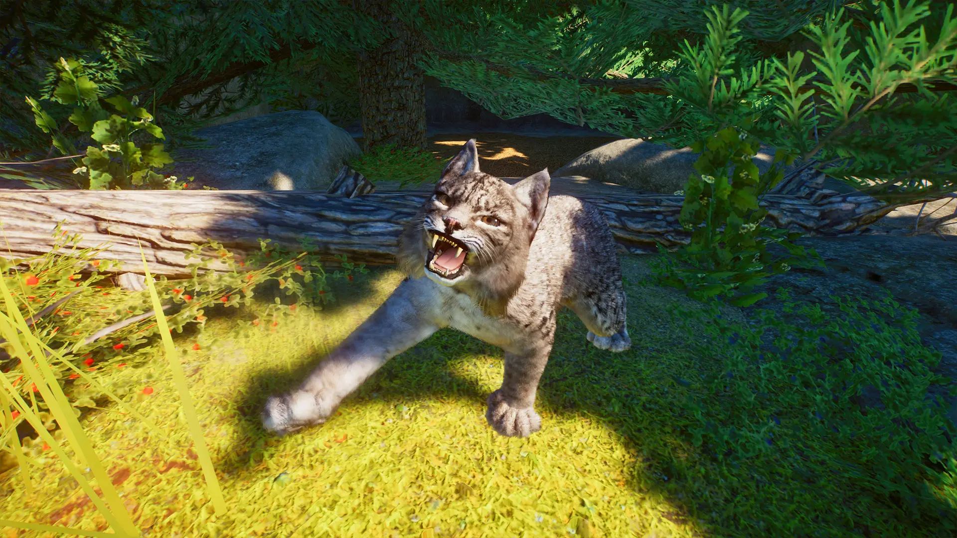 (1.8) New Species - Bobcat at Planet Zoo Nexus - Mods and community