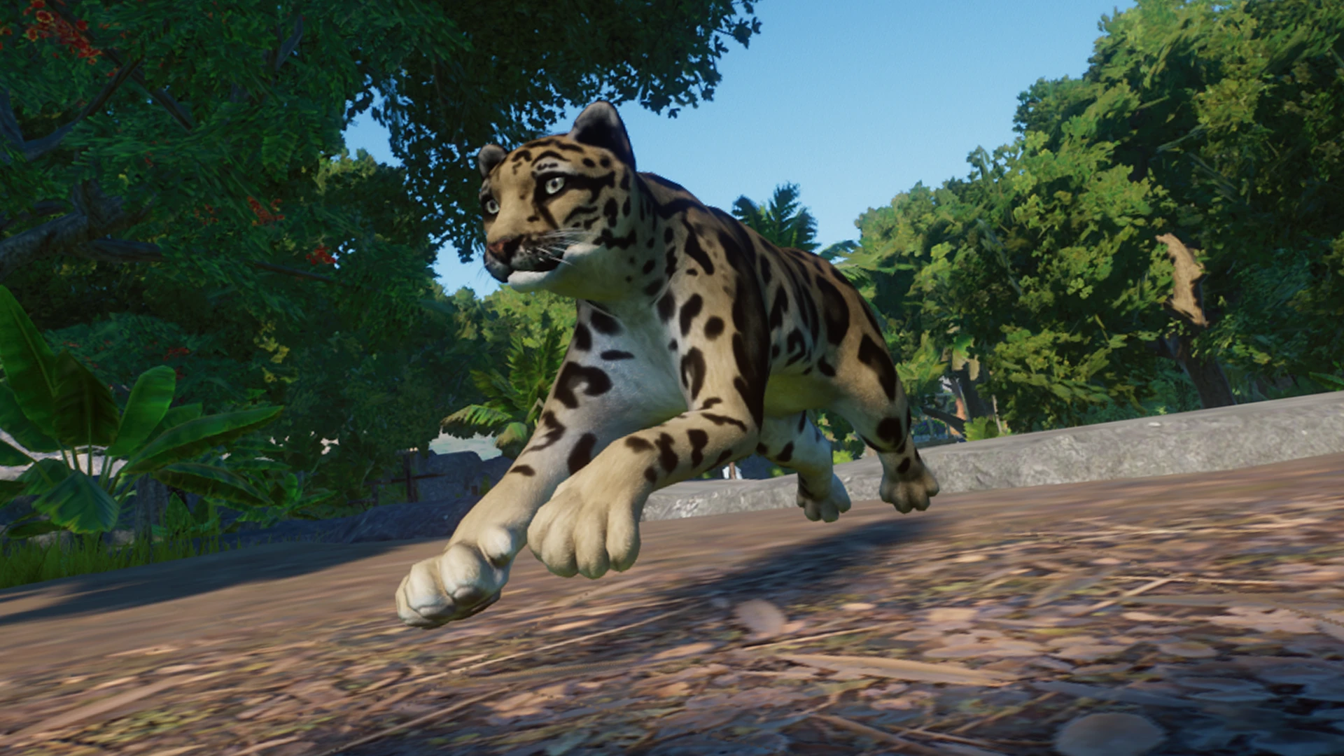 clouded-leopard-discontinued-at-planet-zoo-nexus-mods-and-community