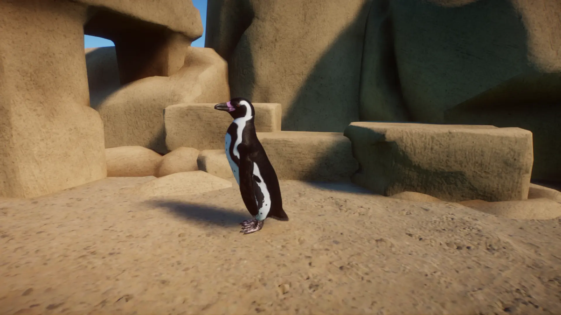 Humboldt Penguin (new species) at Planet Zoo Nexus - Mods and community