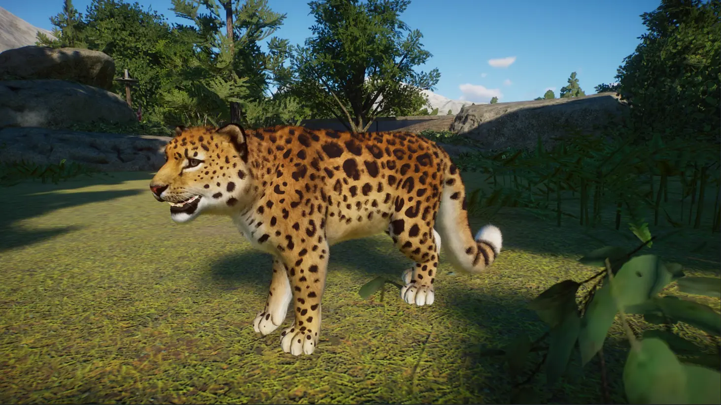 amur-leopard-at-planet-zoo-nexus-mods-and-community