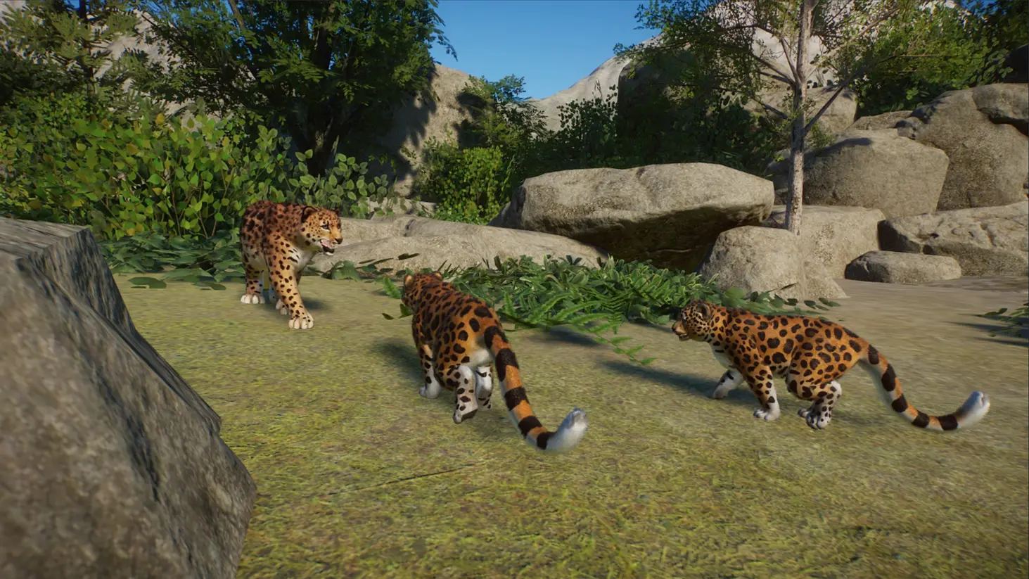 Amur Leopard Habitat Planet Zoo