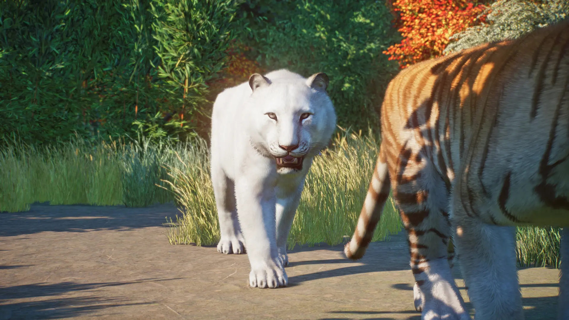 Bengal Tiger Remaster And New Variants (wip 1.16) At Planet Zoo Nexus 