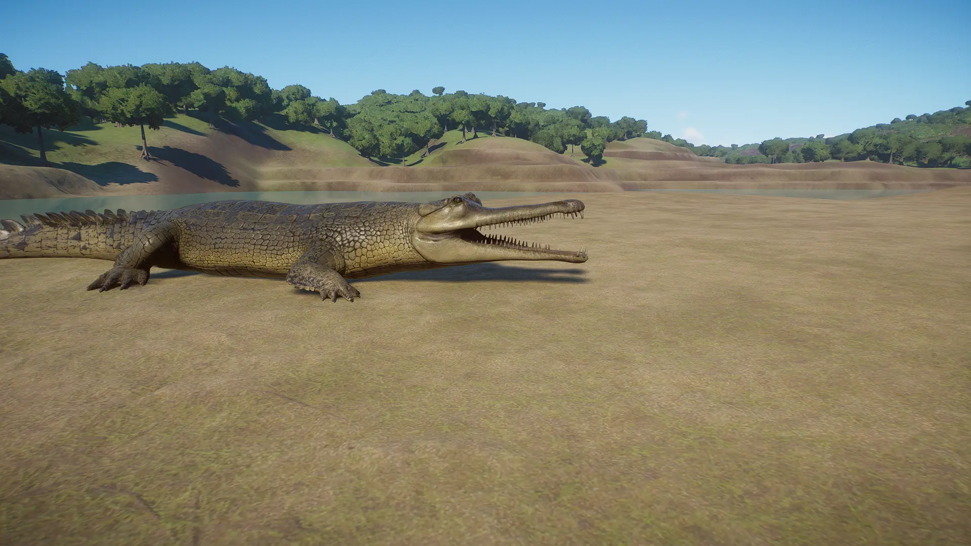 (1.11) Tomistoma (False Gharial) - New Species at Planet Zoo Nexus ...