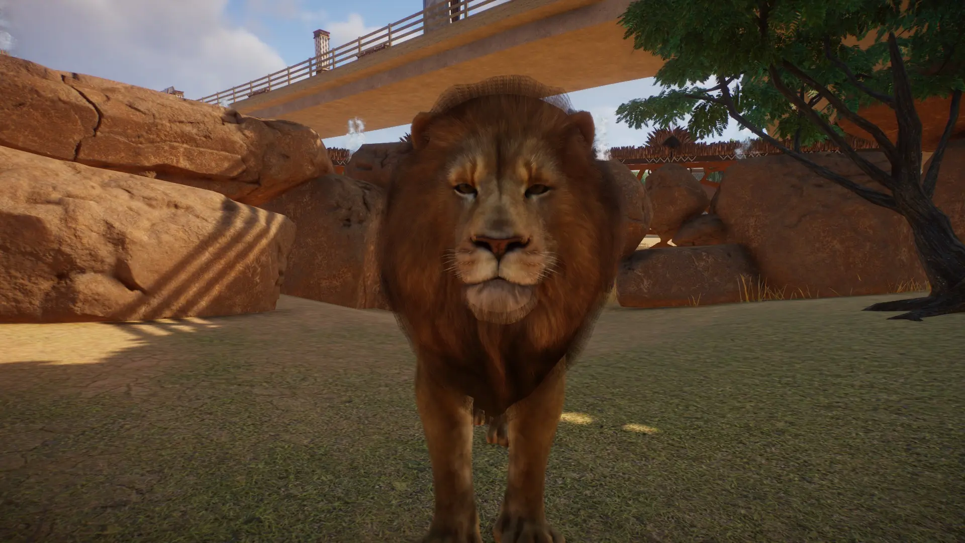 Lion Remaster at Planet Zoo Nexus - Mods and community