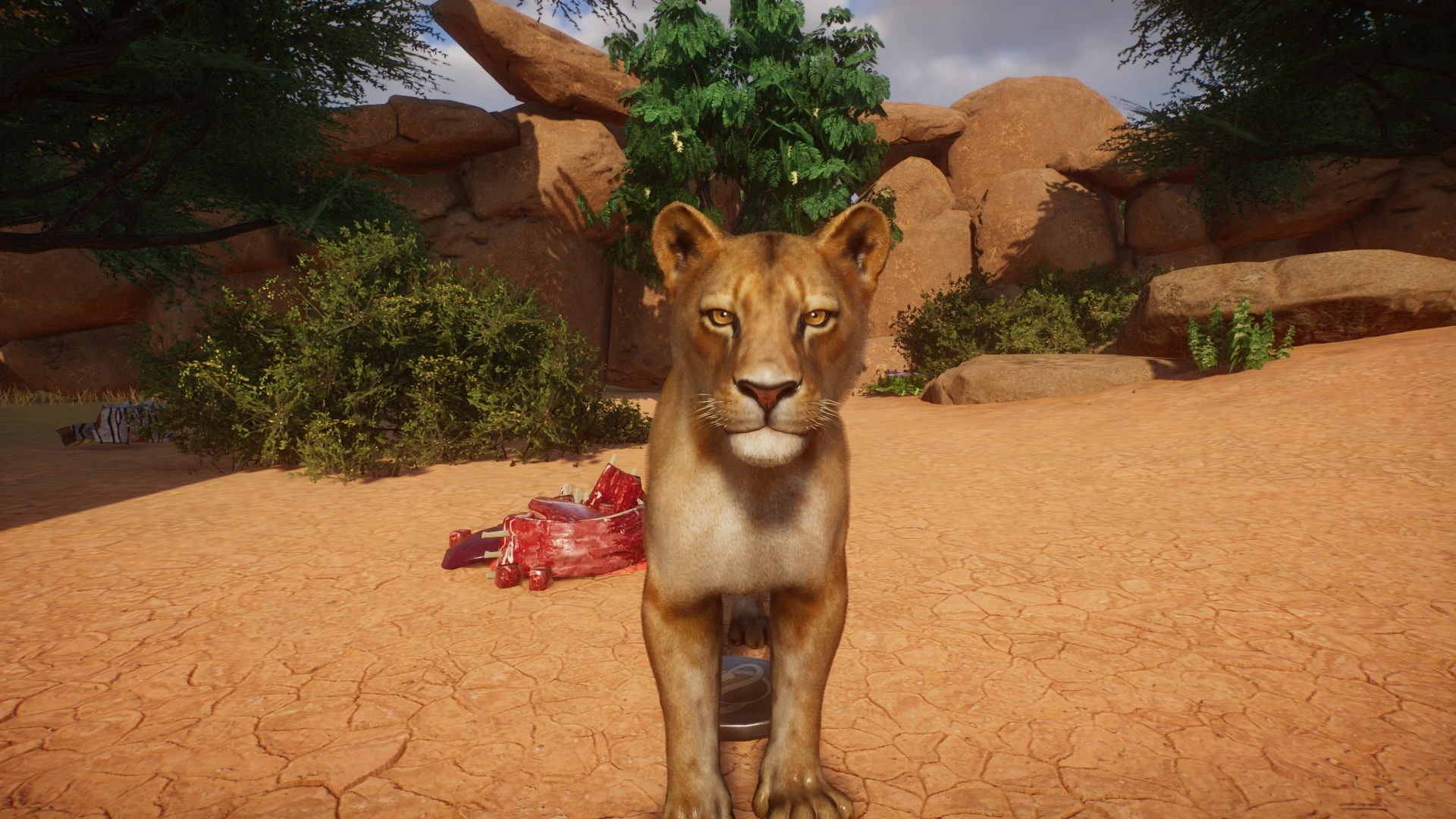 Lion Remaster at Planet Zoo Nexus - Mods and community