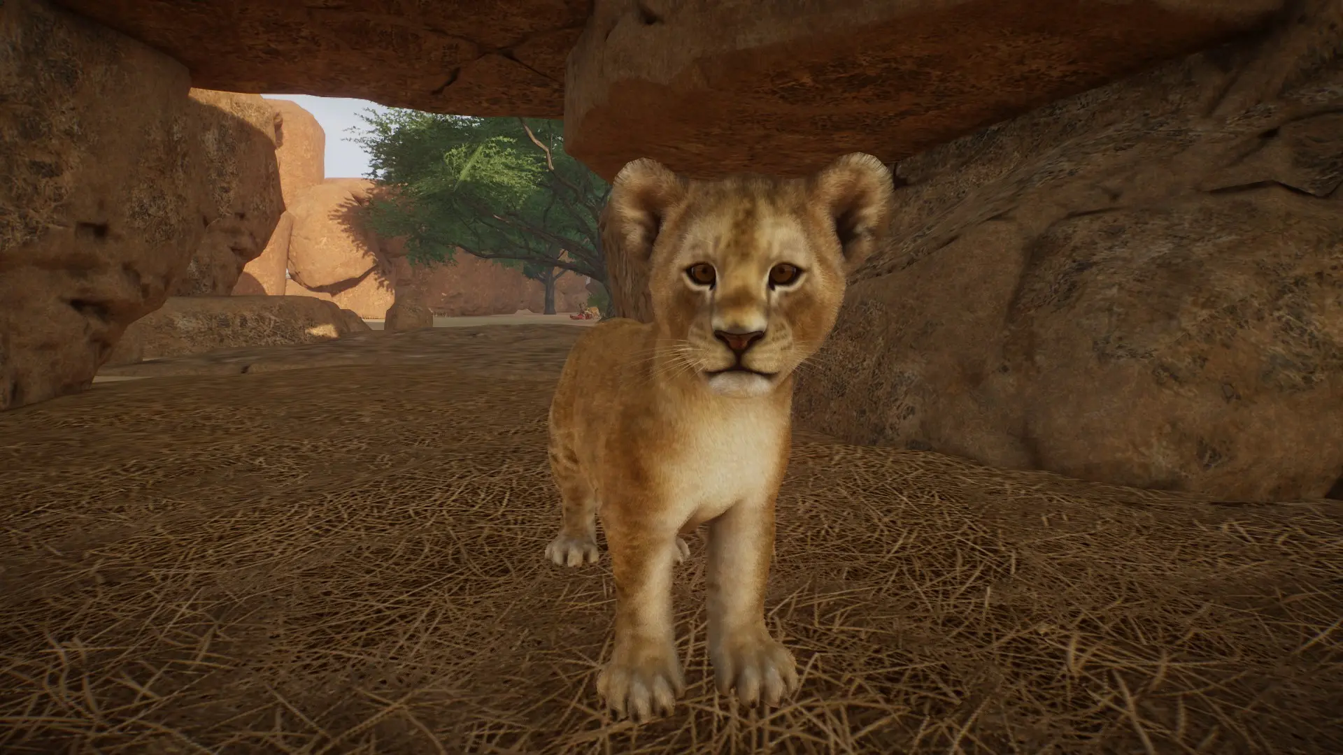 Lion Remaster at Planet Zoo Nexus - Mods and community