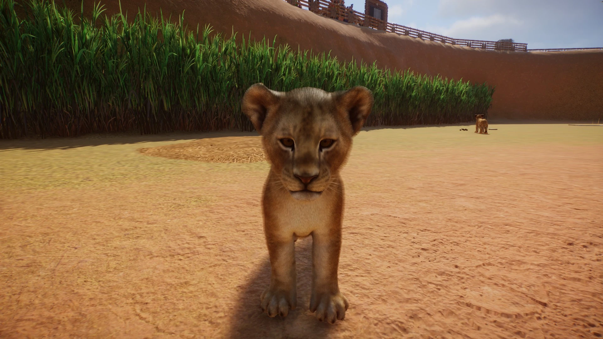 Lion Remaster at Planet Zoo Nexus - Mods and community