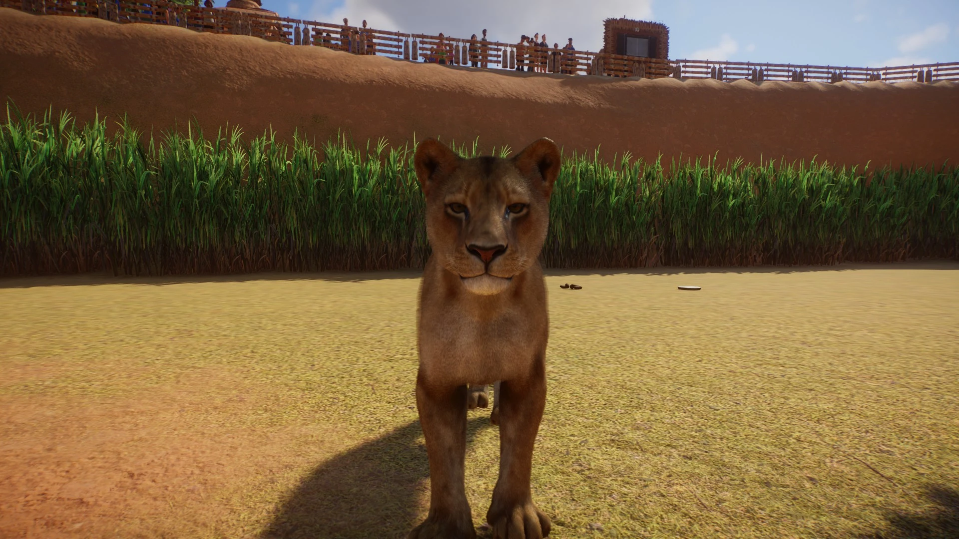 Lion Remaster at Planet Zoo Nexus - Mods and community