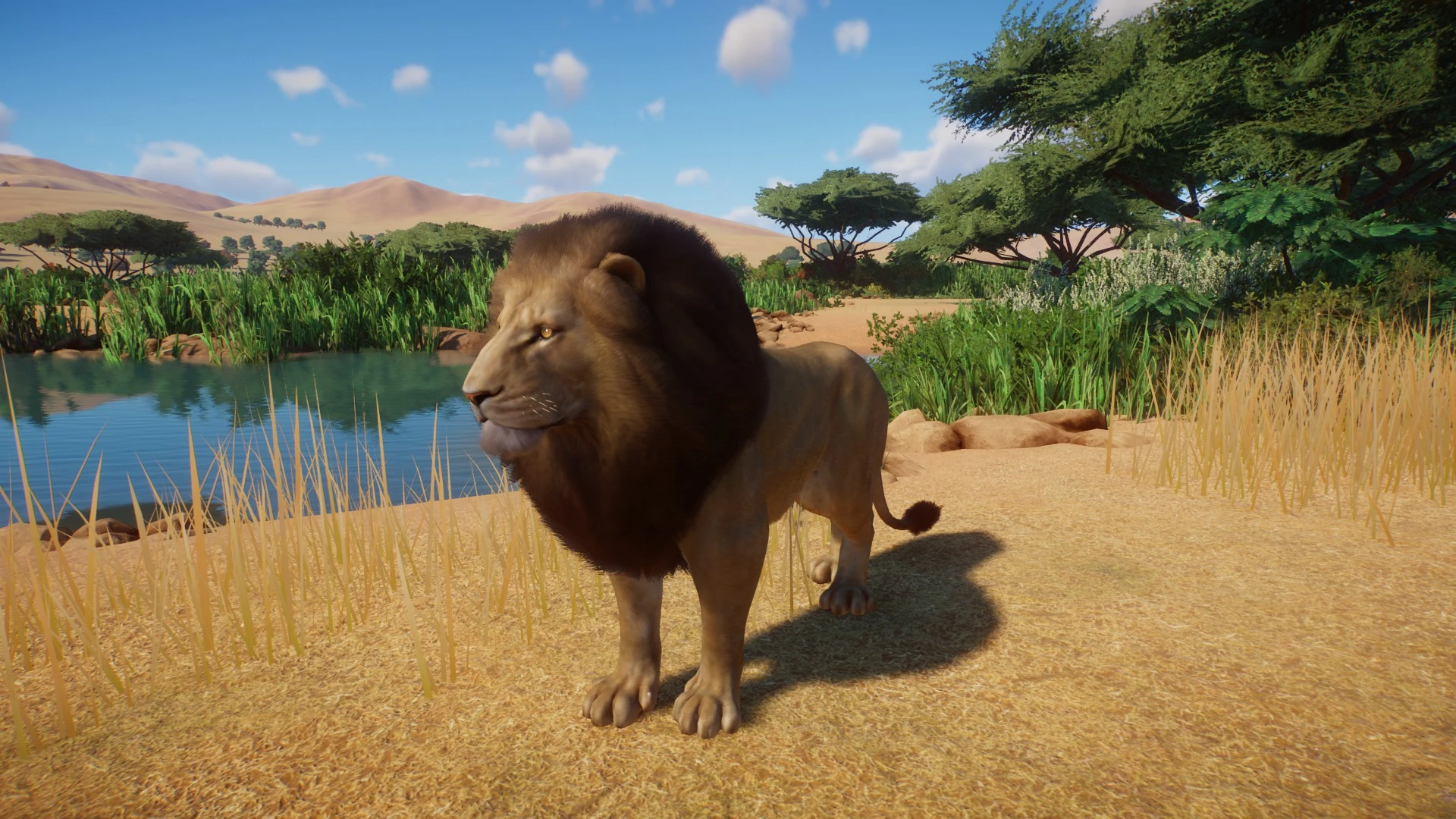 Lion Remaster (update 1.5) At Planet Zoo Nexus - Mods And Community