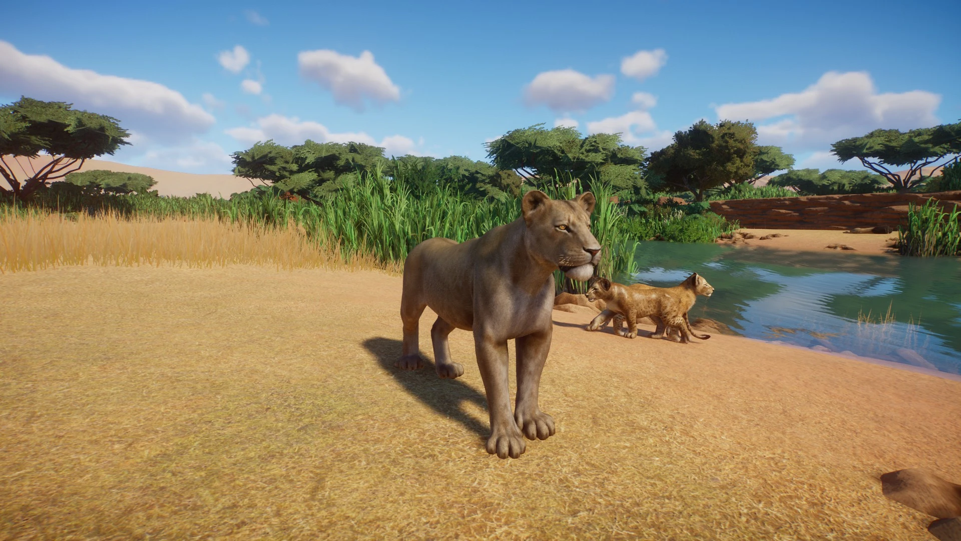 Lion Remaster (UPDATE 1.5) at Planet Zoo Nexus - Mods and community