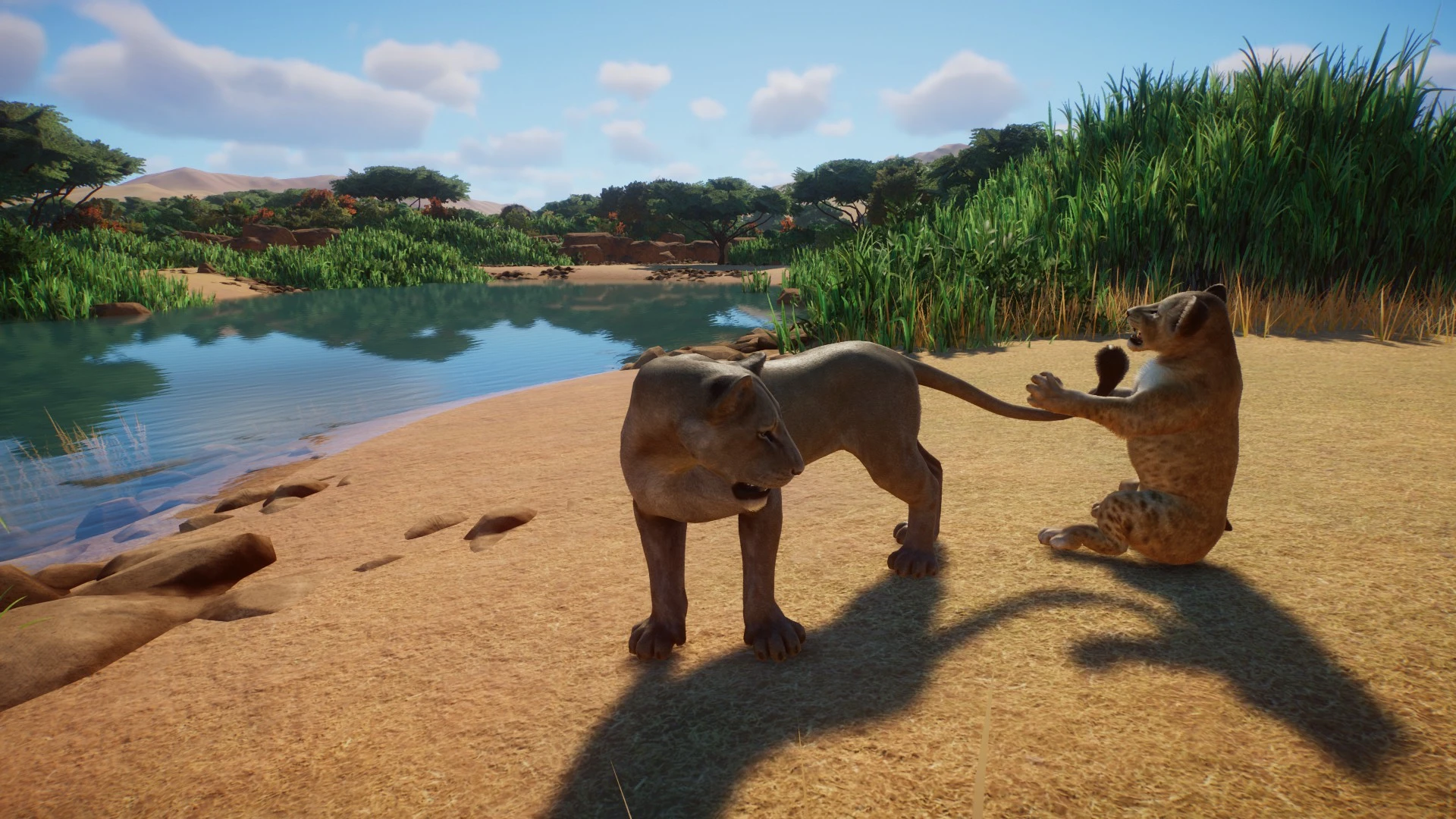 Lion Remaster (UPDATE 1.5) at Planet Zoo Nexus - Mods and community