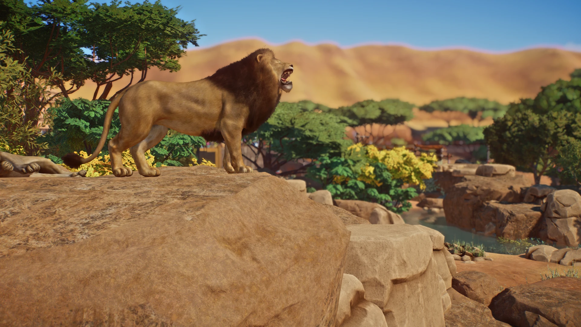 African Lion Remaster (1.10 ACSE Update) at Planet Zoo Nexus - Mods and ...