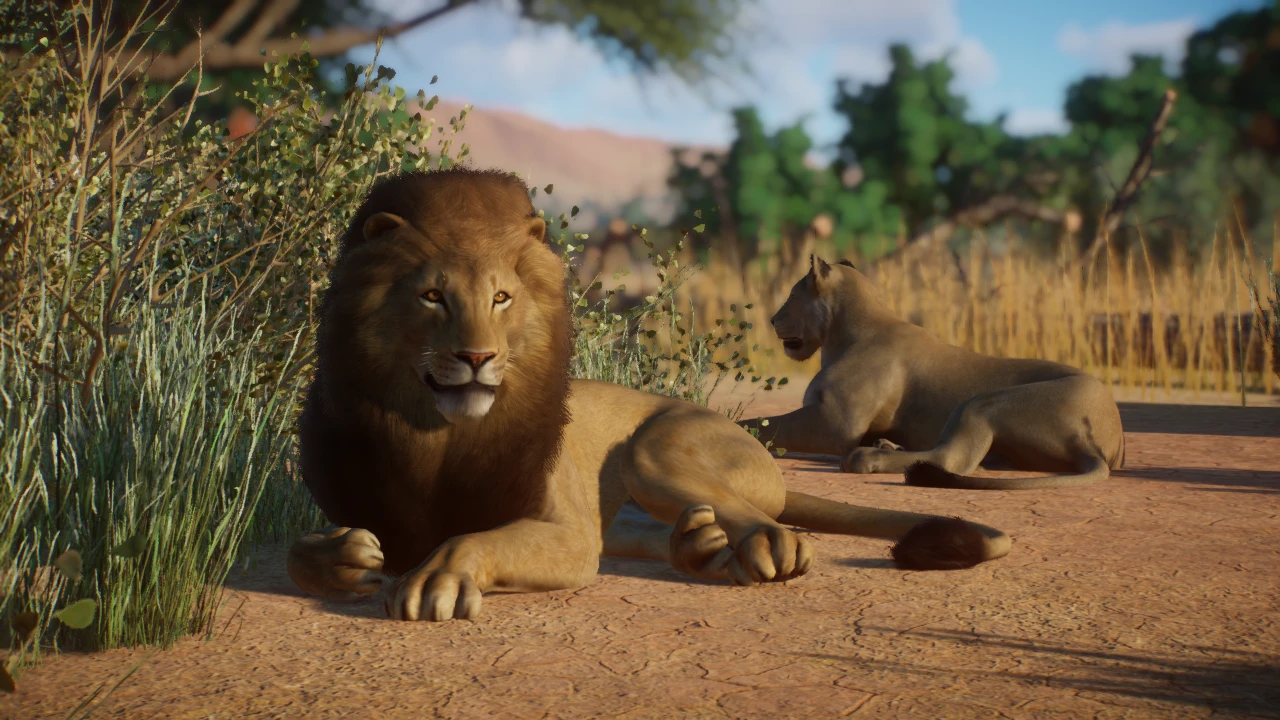 African Lion Remaster (1.10 ACSE Update) at Planet Zoo Nexus - Mods and ...