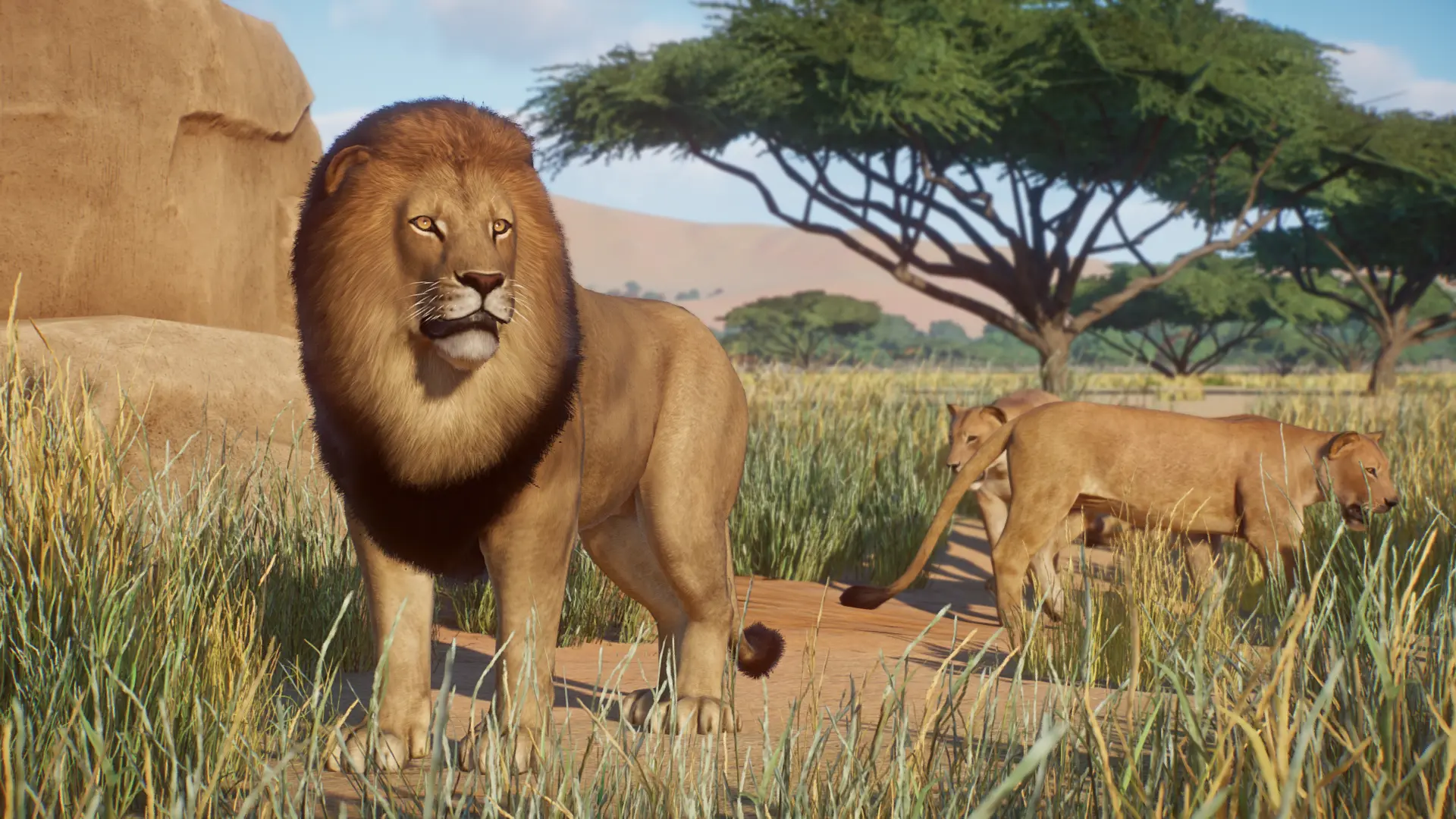 African Lion Remaster and New Variants (1.15) at Planet Zoo Nexus