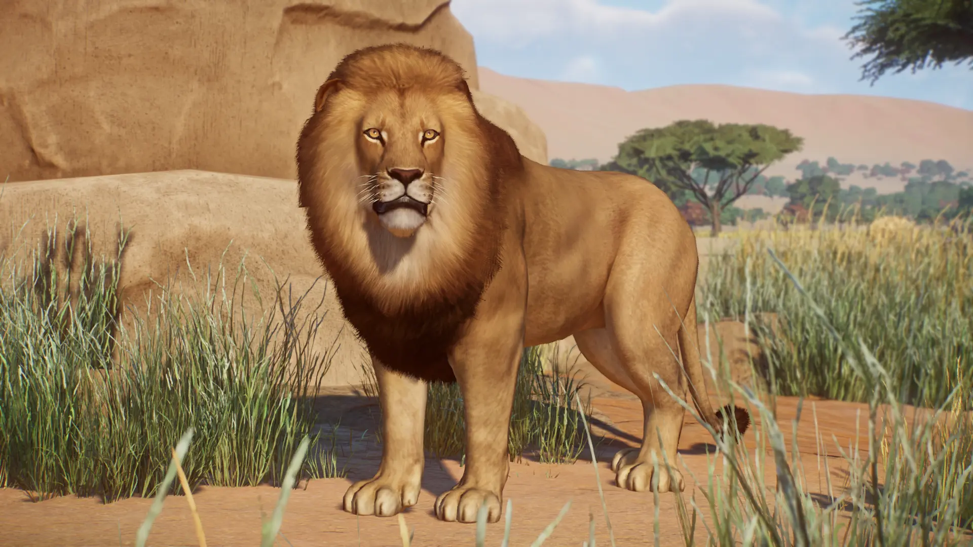 African Lion Remaster and New Variants (1.14) at Planet Zoo Nexus