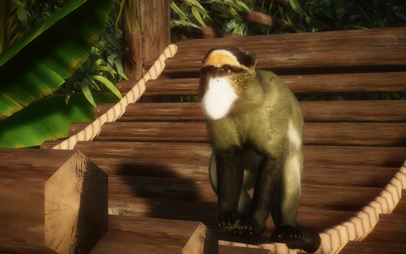 De Brazza's Monkey - New Species (1.14) at Planet Zoo Nexus - Mods and ...