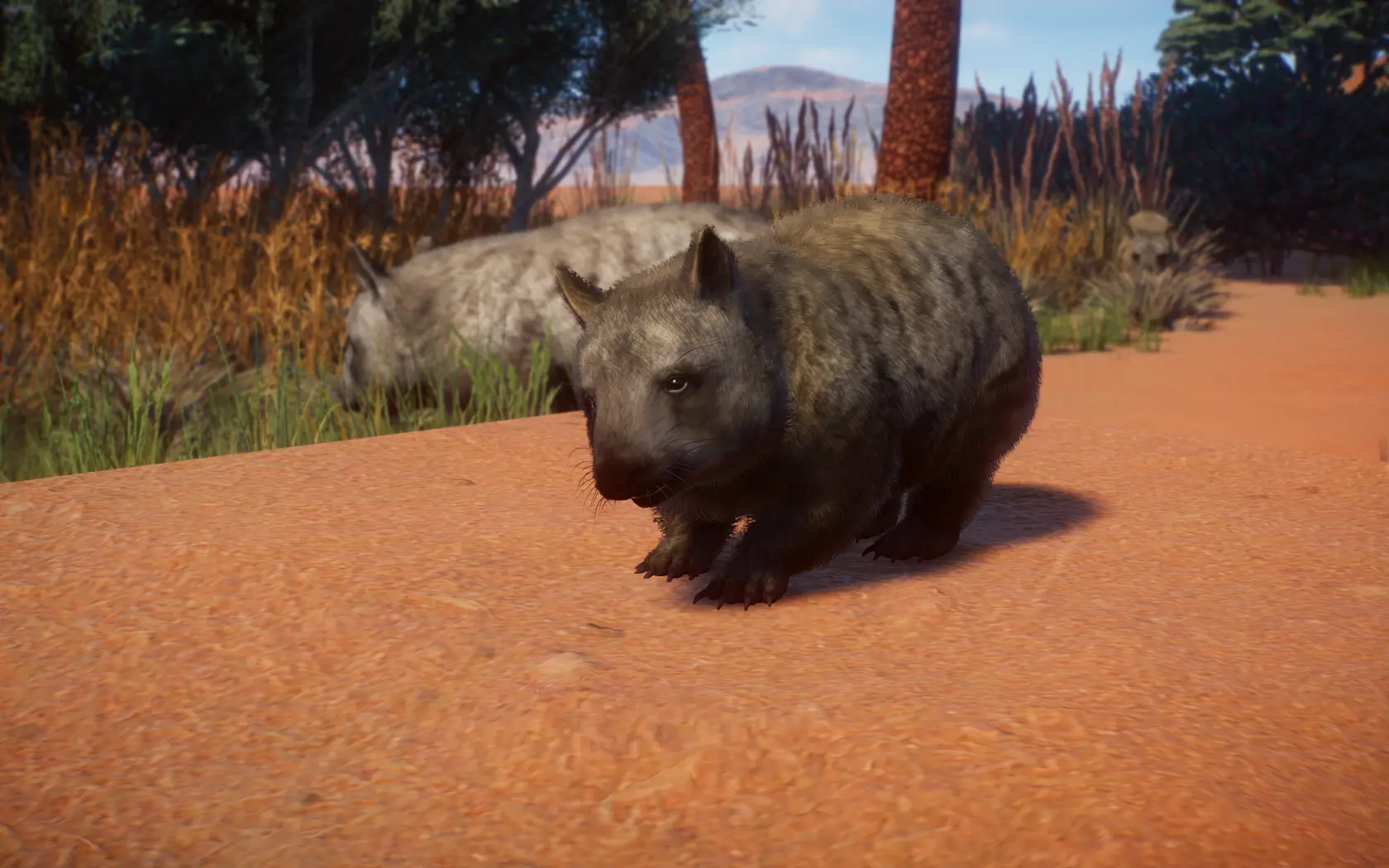 Southern Hairy-nosed Wombat - New Species (1.12) At Planet Zoo Nexus 