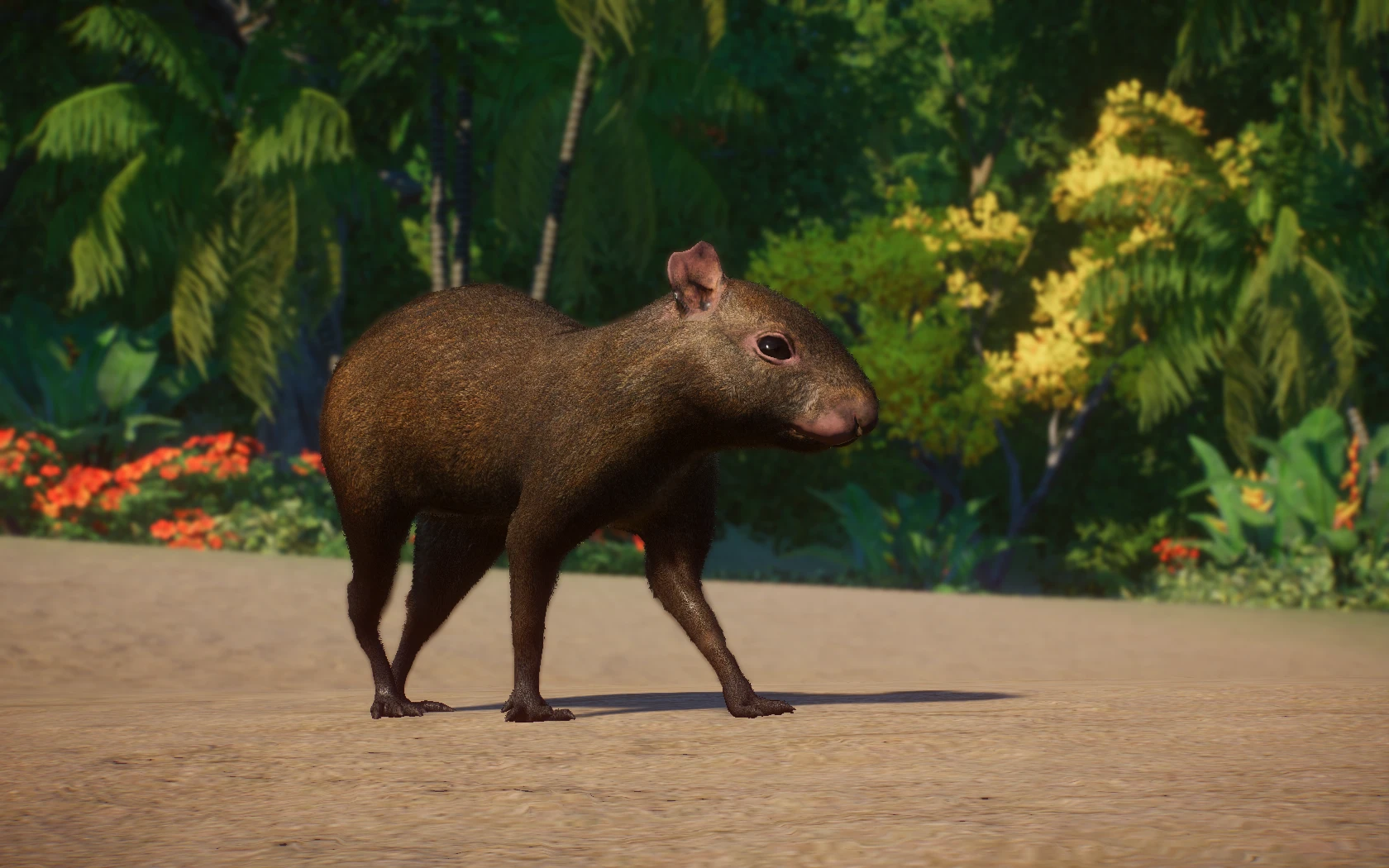 Coiban Agouti - New Species (1.14) at Planet Zoo Nexus - Mods and community