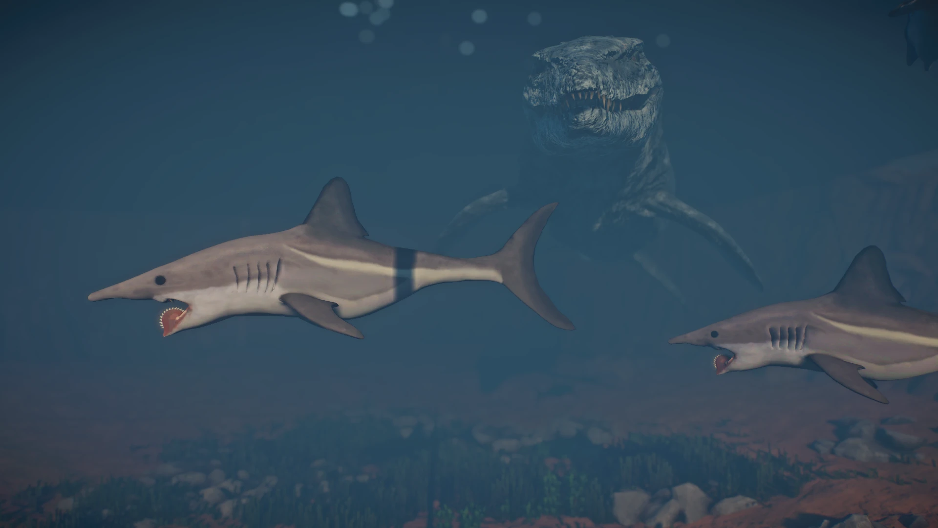 Helicoprion - New Species (1.13) at Planet Zoo Nexus - Mods and community