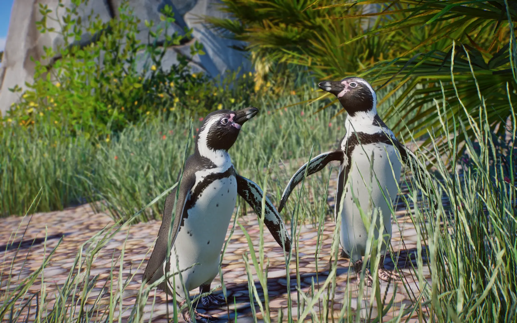 Humboldt Penguin - New Species (1.14) At Planet Zoo Nexus - Mods And 