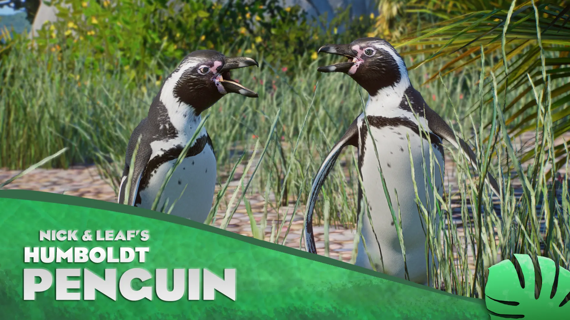 Humboldt Penguin - New Species (1.14) At Planet Zoo Nexus - Mods And 