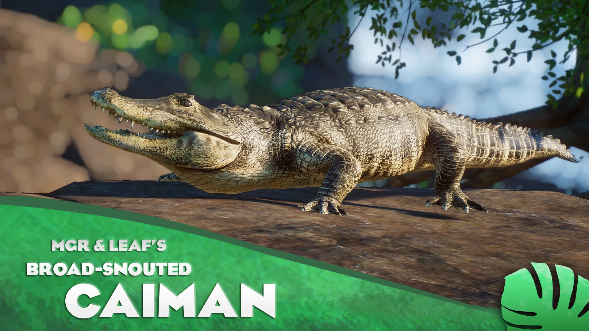 Broad-Snouted Caiman - New Species (1.14) at Planet Zoo Nexus - Mods ...