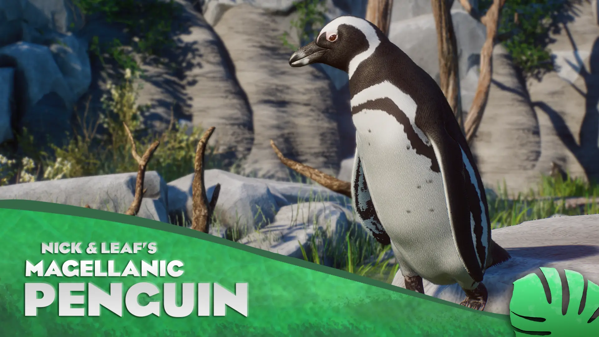 Magellanic Penguin - New Species (1.14) at Planet Zoo Nexus - Mods and ...