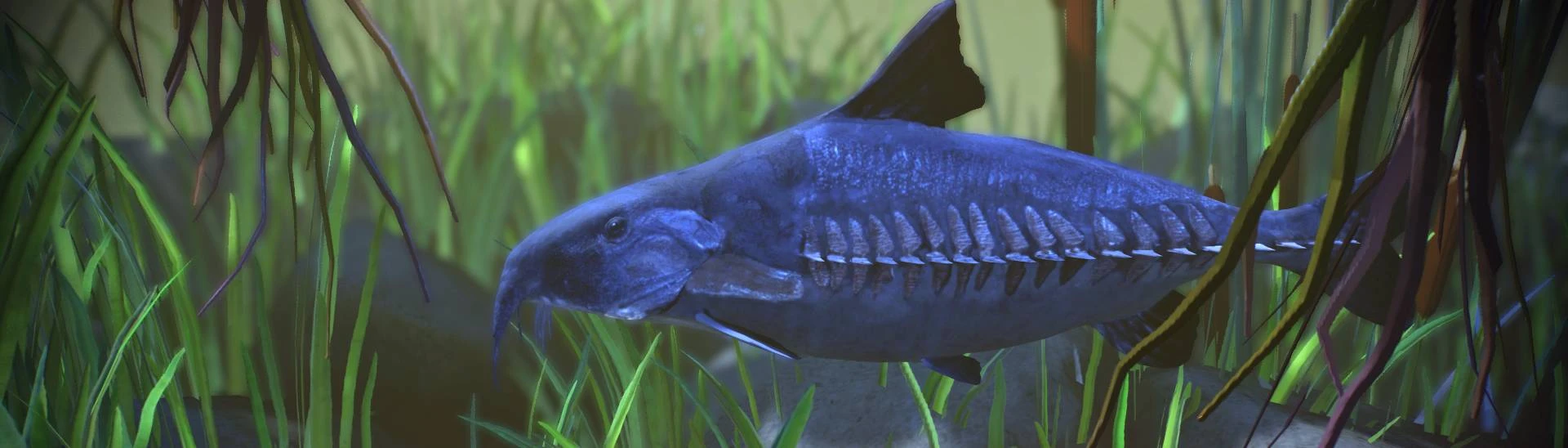 Ripsaw Catfish - New Species (1.13) at Planet Zoo Nexus - Mods and community
