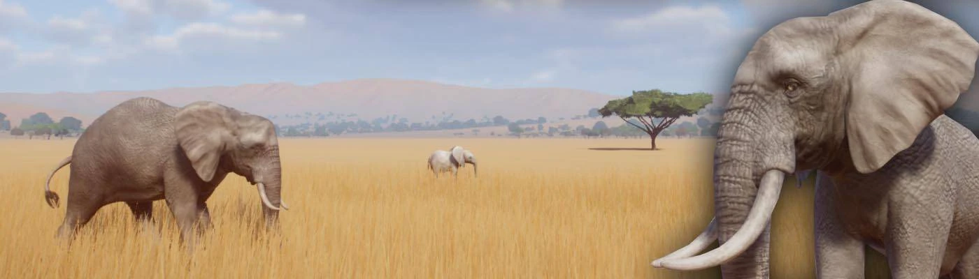 African Elephant Remaster (Updated for 1.4) at Planet Zoo Nexus - Mods