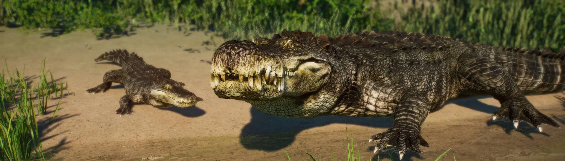 American Alligator, Planet Zoo Wiki