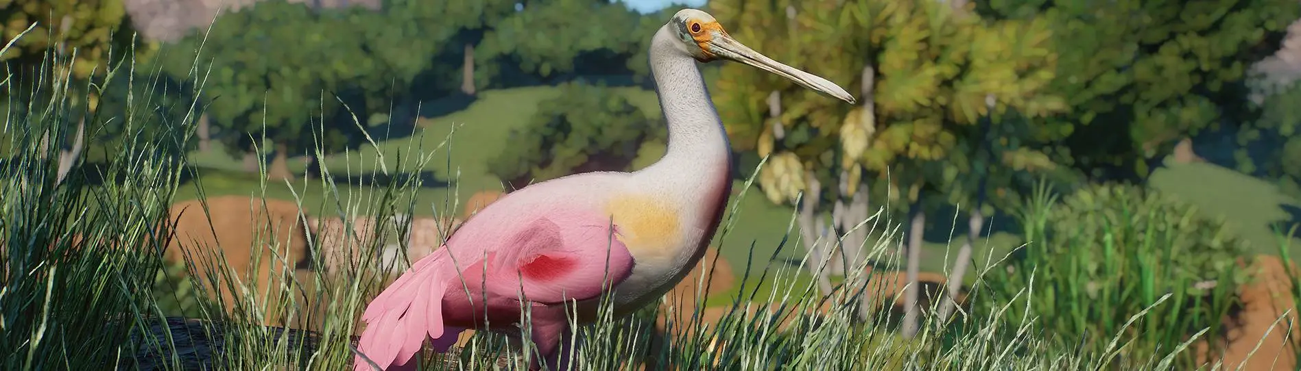 Roseate Spoonbill - New Species (1.16) at Planet Zoo Nexus - Mods and ...