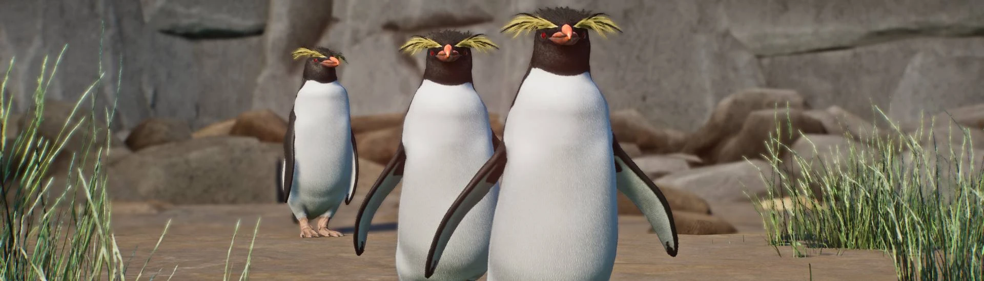 These Punk Rock Penguins Have a Bizarre Breeding Strategy