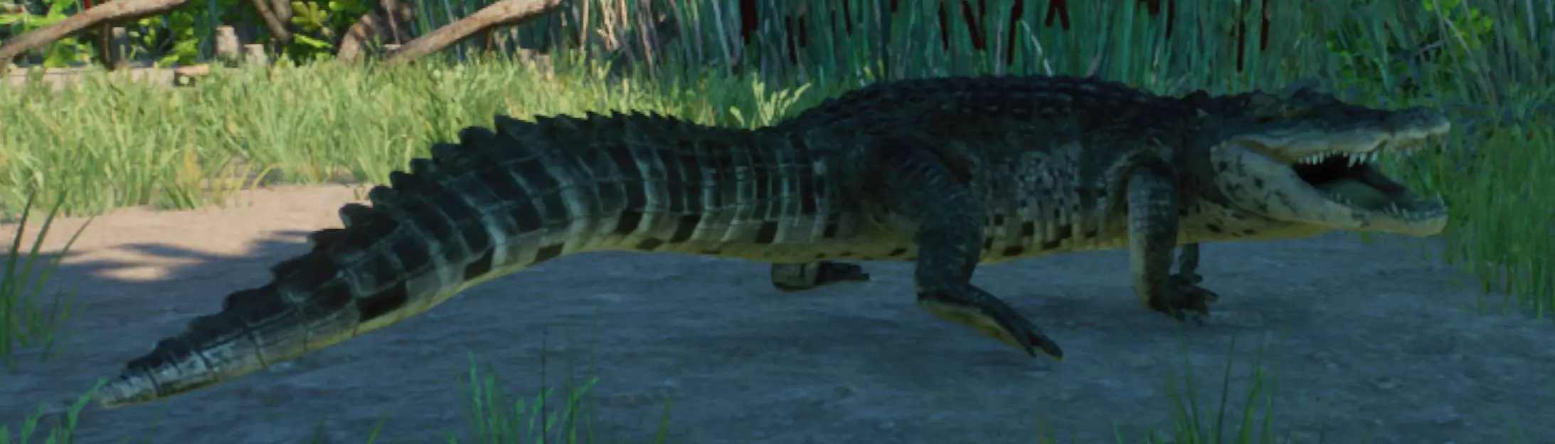 American Alligator, Planet Zoo Wiki