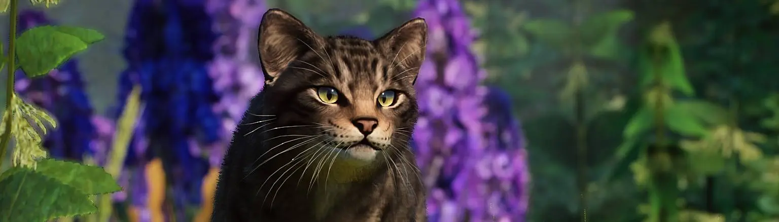 Scottish Wildcat - New Species (1.16) at Planet Zoo Nexus - Mods and  community