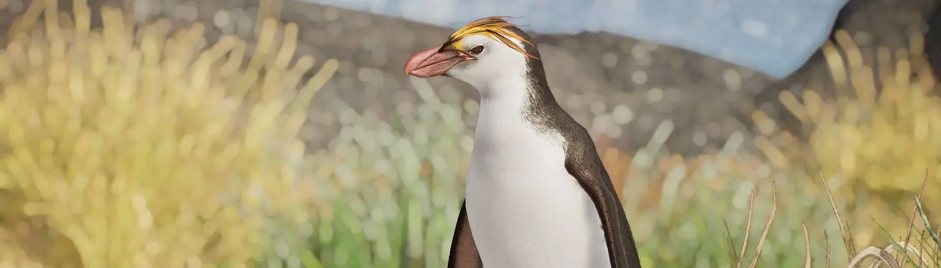 Royal Penguin - New Species (1.16) at Planet Zoo Nexus - Mods and community