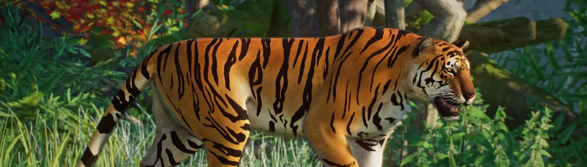 Zoopedia Bengal vs Siberian tiger size.