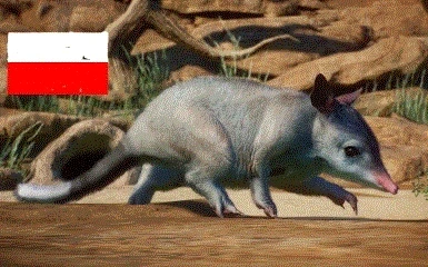Polish translate - Greater Bilby Animal by  LeafProductions
