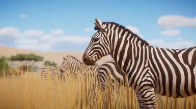 Narwhaler's Plains Zebra Remaster (1.10) at Planet Zoo Nexus - Mods and ...