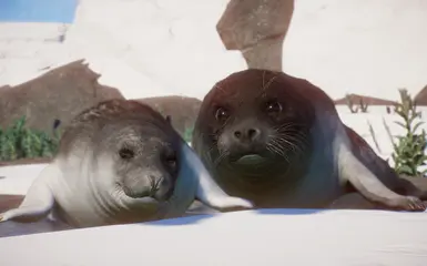 Ringed Seal - New Species (1.12) at Planet Zoo Nexus - Mods and community