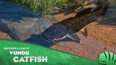 Vundu Catfish - New Species (1.13)