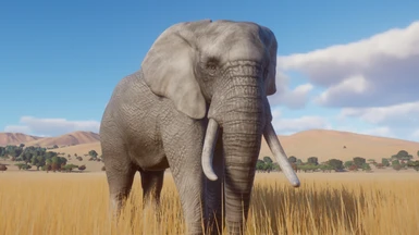 African Elephant Remaster (Updated for 1.4)