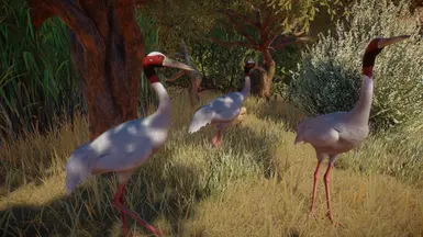 (1.10) Sarus Crane - New Species At Planet Zoo Nexus - Mods And Community