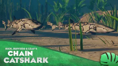 Chain Catshark - New Species (1.13)