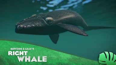 Right Whale - New Species (1.13)